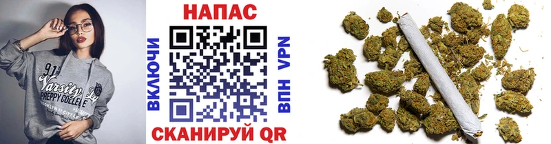 Канабис сатива  Сольцы 